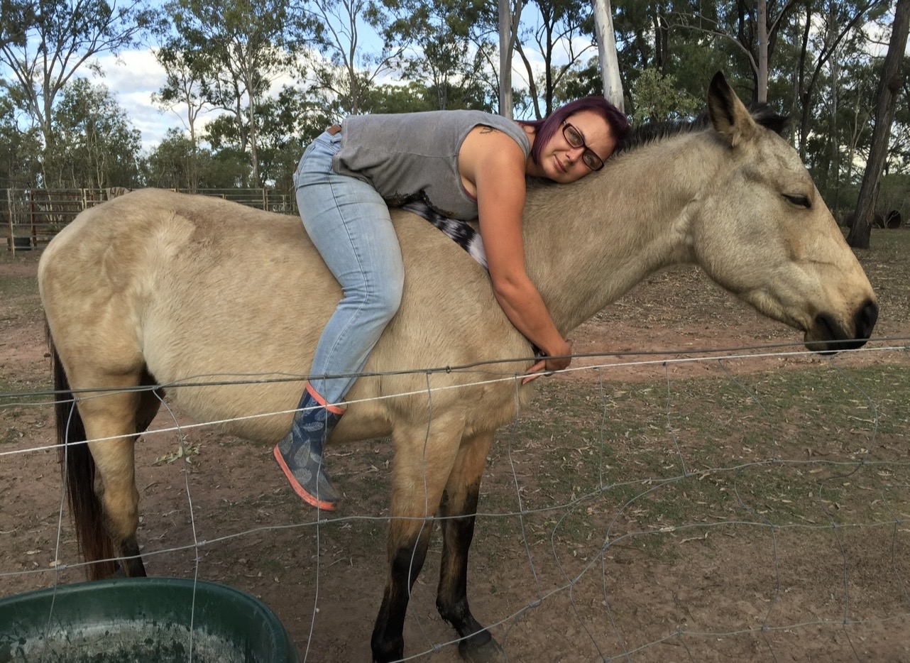 Jax lying across a horse in the paddock
