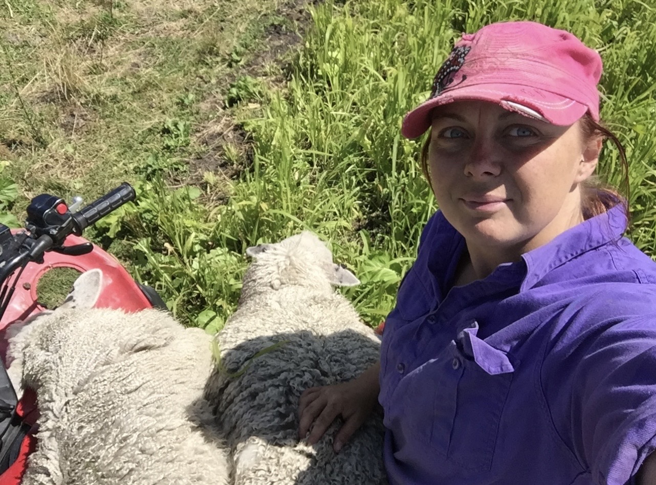 Jax with sheep while working from the quad